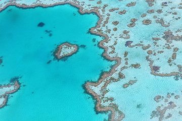 Why Migrate to Australia
